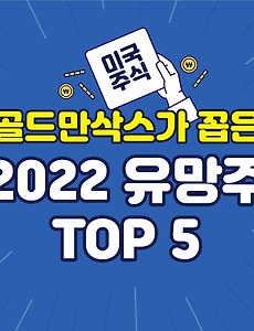 썸네일-골드만삭스가 꼽은 2022년 미국 주식 유망주 TOP 5!