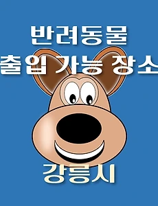 thumb-강릉시 강아지 출입 가능 식당, 카페, 숙박, 반려동물 동반 관광지 체험