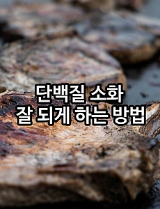 단백질 소화 잘 되게 하는 방법