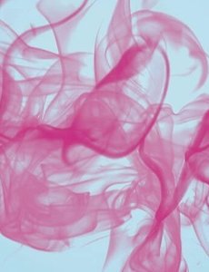 へ に 未来 木漏れ日 なっ 地図 が の てく 桜木 の