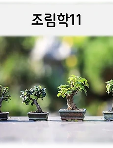 테스트4