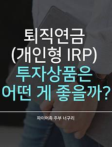 퇴직연금 (개인형 IRP) 투자상품은 어떤 게 좋을까?