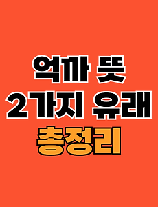 thumbnai5