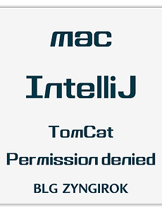 IntelliJ | Mac에서 Tomcat 사용시 Permission denied 이슈 해결방법