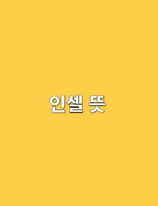 article-rep-thumbnail-C230x300
