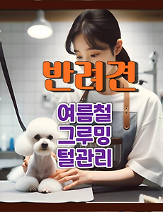 썸네일-/entry/%EC%97%AC%EB%A6%84%EC%B2%A0-%EB%B0%98%EB%A0%A4%EA%B2%AC%EC%9D%98-%ED%84%B8%EA%B4%80%EB%A6%AC-%EC%86%90%EC%A7%88-%EB%93%B1-%EA%B7%B8%EB%A3%A8%EB%B0%8D-%EC%9A%94%EB%A0%B9-%ED%8C%81
