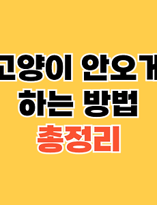 thumbnai5