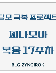 탈모 극복 프로젝트 | 내돈내산 | 피나모아 복용 17주차 관찰 후기 (두피사진 포함)