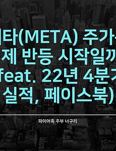 메타(META) 주가는 이제 반등 시작일까? (feat. 22년 4분기 실적, 페이스북)