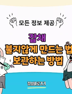 thumbnai5