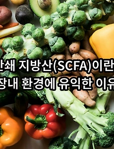 장내 미생물이 만들어내는 단쇄 지방산(SCFA)이란? - 장내 환경에 유익한 이유