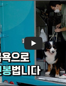 썸네일 5