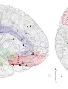 계산 신경과학이란 무엇인가? What is Computational Neuroscience(Korean& English)
