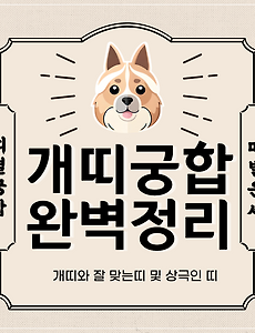 개띠 궁합 완벽 정리 | 개띠와 잘맞는 띠 vs 안맞는 띠 썸네일