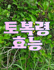 article_rep_thumbnail_raw_url