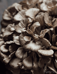 article_rep_thumbnail_raw_url