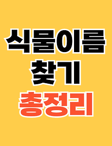 thumbnai5