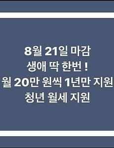 8월 21일 마감 생애 딱 한번! 월 20만 원씩 1년만 지원/ 청년 월세 지원/ 청년 월세 특별 지원