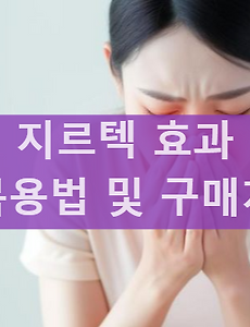 지르텍 비염 콧물 효과 부작용 가격 및 지르택 편의점 구매 가능한지 썸네일