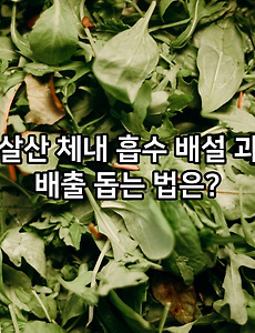 옥살산 체내 흡수 배설 과정 - 체내 기전 및 배출 돕는 법