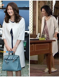 심은하 패션, 정치인의 아내