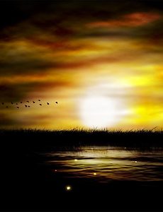 다들 풍요로운 한가위 되세요. 썸네일