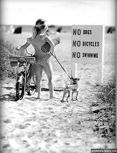 대한민국 게임의 현실 썸네일