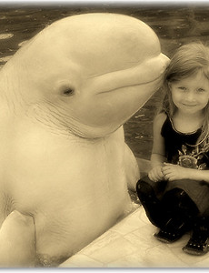 개발자와 QA는 친구가 될 수 없는걸까? 썸네일