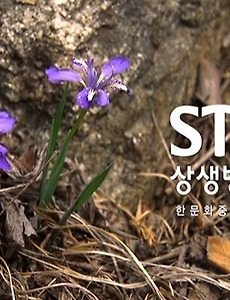 지구촌 인류의 꿈과 희망을 담아 상생의 신천지(新天地) 신(新)문명의 비전을 제시하는 상생방송 - 2014년 5월 3주차 방송편성표(2014.05.12 ~ 05. 18) 썸네일