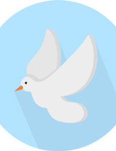thumbnail5