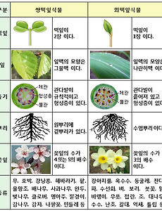 김정식 허명성의 과학사랑