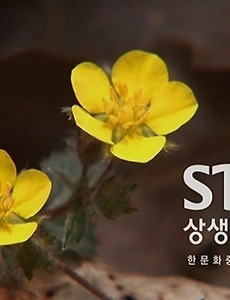 2014년 4월 1주차 - 한韓문화 중심채널 상생방송 방송편성표(2014.03.31 ~ 04.06) 썸네일