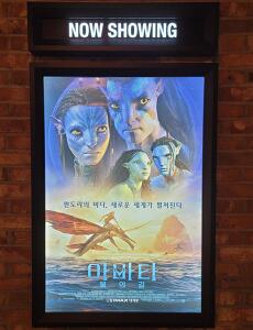 영화 | 아바타 극장 가서 볼만한가? (Feat. 스포없음)