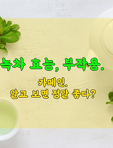 녹차카페인부터 효능, 부작용 등 5