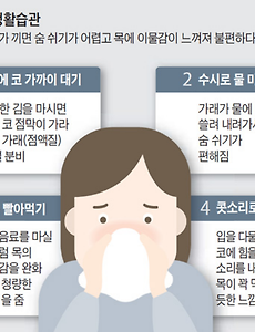 가래 없애는 법. 요약 2