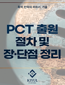 PCT 출원 이 글만 보시면 됩니다. 5