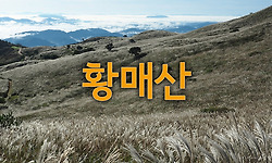 모산재 일출과 황매산 억새 - ② 황매산 억새