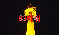 대구에서 가장 높은 건축물인 이랜드 83타워 전망대 구경