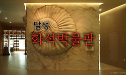 특별한 볼거리 - 달성화석박물관