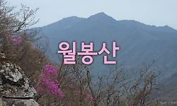 비 오기 전에 얼른 다녀온 월봉산 원점회귀
