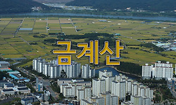 황금 들판과 낙동강 조망  - 달성 옥포 금계산