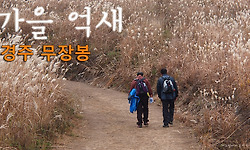 무장봉 억새밭에서