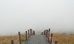 능선 별곡(稜線 別曲) - 소백산에서