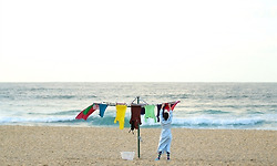 이모를 경배하라  - 이영혜