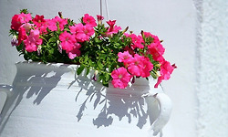 아름다운 풍경속으로 떠나보는 그리스 여행