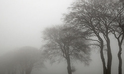 하늘을 깨물었더니 - 정현종