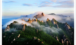 국립공원이 선정한 베스트 경관자원 100선