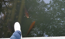 얄미운 일본, 그래도 꼭 넘어야 할 산