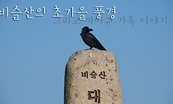 유가사~수성골~대견봉(비슬산 정상)~대견사지~휴양림
