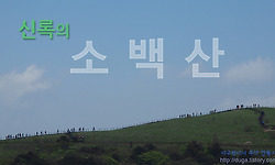 소백산 비로봉의 인파와 정상 부근 철쭉 군락지의 지금 모습은..